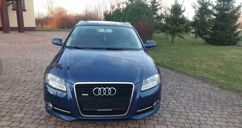 Audi A3 cena 31999 przebieg: 260569, rok produkcji 2010 z Piotrków Kujawski małe 781